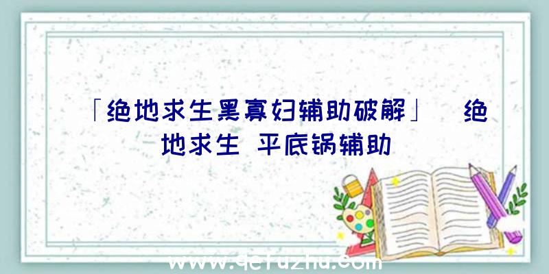 「绝地求生黑寡妇辅助破解」|绝地求生